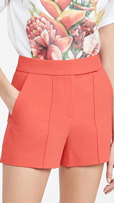 Alice And Olivia Dylan High Waist Tab Pintuck Shorts In Bright Poppy