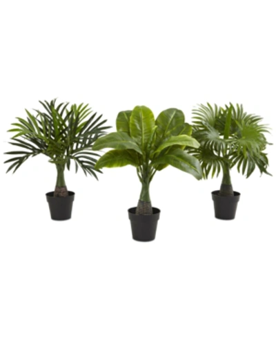 Nearly Natural 3-pc. Areca, Fountain & Banana Palm Artificial Plant Set In Green