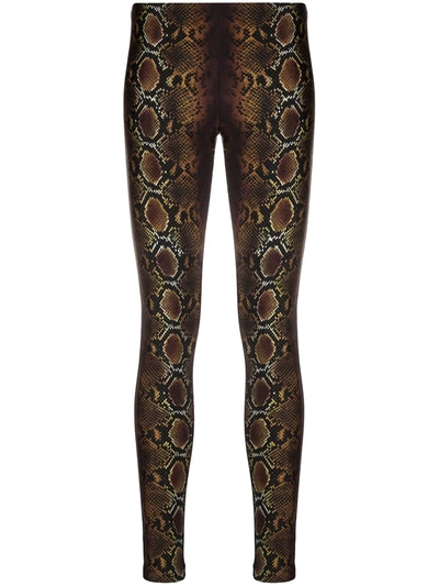 Versace Snakeskin-print Leggings In Neutrals