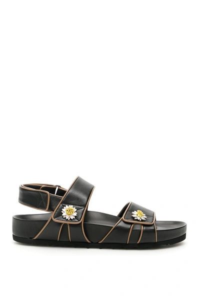 Fabrizio Viti Single Daisy Berkley Sandals In Black,brown,yellow