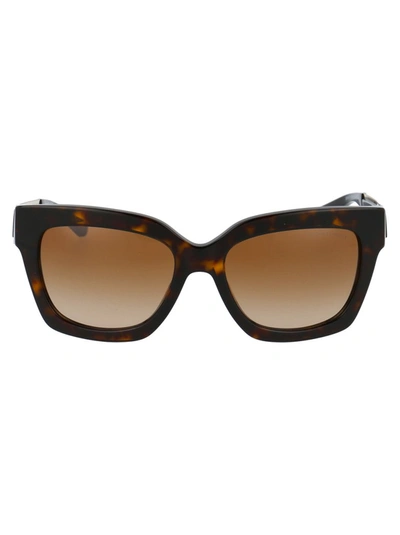 Michael Kors Berkshires Sunglasses In Brown