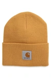 Carhartt Watch Hat In Winter Sun