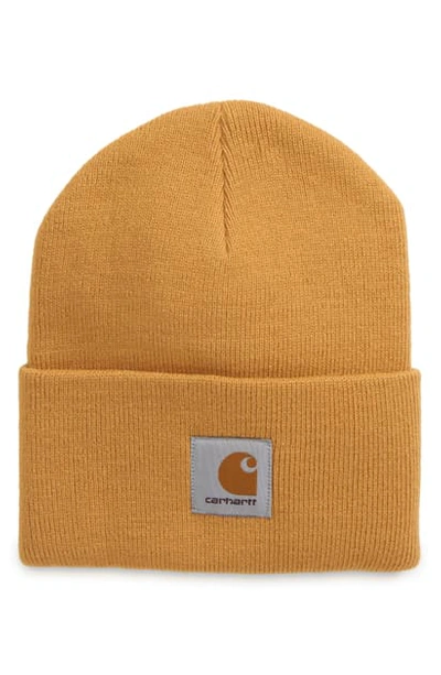 Carhartt Watch Hat In Winter Sun