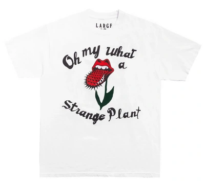 Pre-owned Cactus Plant Flea Market  Rolling Stones Strange Plant T-shirt White