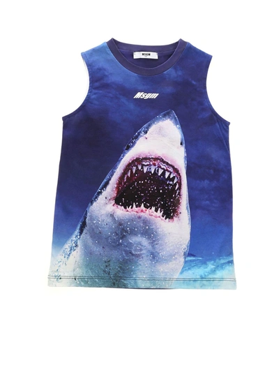 Msgm Kids' Shark Printed Cotton Jersey Tank Top In Blue