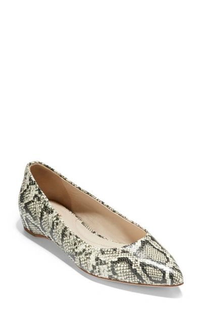 Cole Haan Brenna Skimmer Flat In Snake Print Leather
