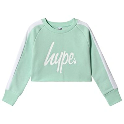 Hype Babies'  Mint Side Stripe Crow Crew Sweatshirt In Green