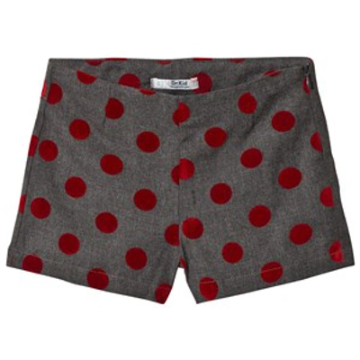 Dr Kid Kids' Dotted Shorts Gray In Grey