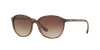 Sunglass Hut Collection Sunglasses, Hu2003 55 In Gradient Brown
