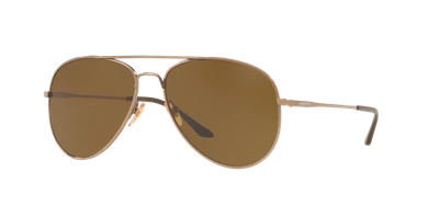 Sunglass Hut Collection Man Sunglasses Hu1001 In Dark Brown