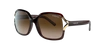Sunglass Hut Collection Women's Polarized Sunglasses, Hu2002 In Gradient Brown
