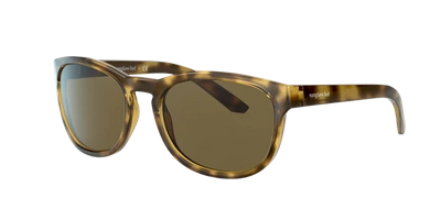 Sunglass Hut Kollektion Sunglass Hut Collection Unisex  Hu2015 In Dark Brown