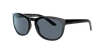 Sunglass Hut Kollektion Sunglass Hut Collection Unisex  Hu2015 In Polar Blue