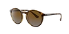 Sunglass Hut Kollektion Sunglass Hut Collection Unisex  Hu2019 In Polar Brown Gradient Grey