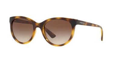 Sunglass Hut Collection Hu2011 53 In Brown Gradient