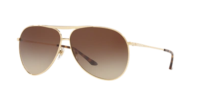 Sunglass Hut Collection Hu1006 64 In Brown Gradient