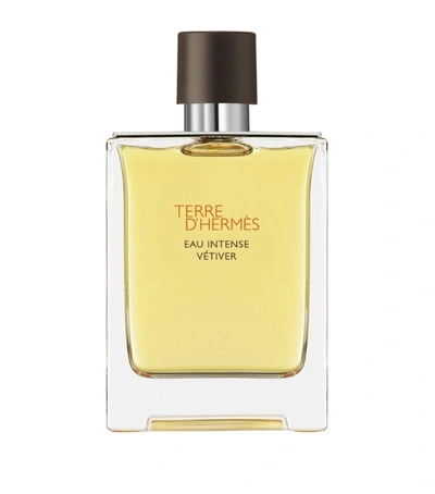 Hermes Hermès Terre D'hermès Eau Intense Vétiver Eau De Parfum (100ml) In Multi