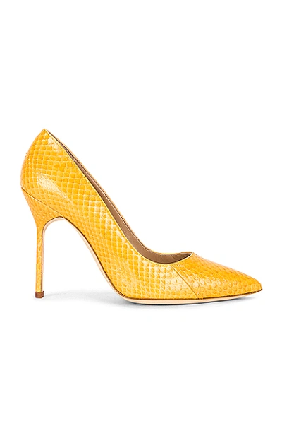 Manolo Blahnik Bb 105 Pump In Bright Yellow