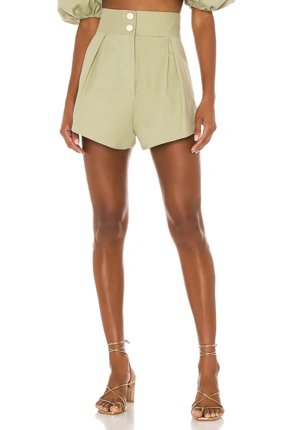 Adriana Degreas Muguet Solid Pleated Short In Green
