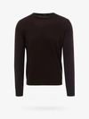 Nugnes 1920 Wool Basic Sweater In Brown