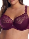 Curvy Couture Tulip Lace Bra In Purple Velvet