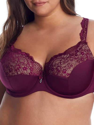 Curvy Couture Tulip Lace Bra In Purple Velvet