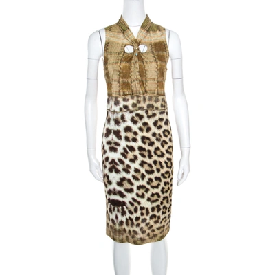 Pre-owned Class By Roberto Cavalli Multicolor Animal Printed Snake Buckle Detail Cutout Back Dress M