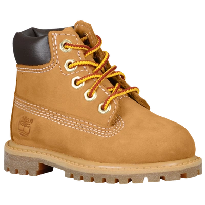 Timberland Kids' Boys  6premium Waterproof Boots In Brown/orange-wheat