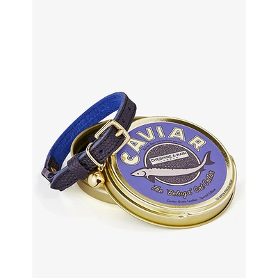 Cheshire & Wain Beluga Caviar Leather Cat Collar