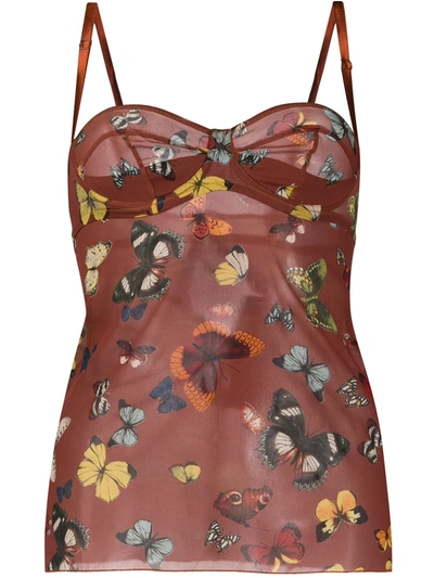 Dolce & Gabbana Butterfly-print Sheer Camisole In Brown