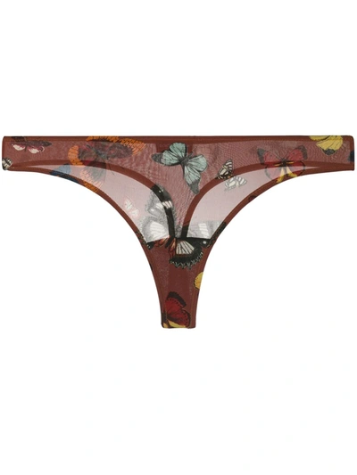 Dolce & Gabbana Butterfly-print Thong In Brown
