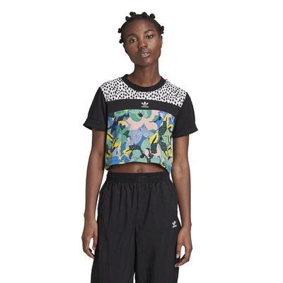 Adidas Originals Womens  Cropped T-shirt In Multi/green/blue