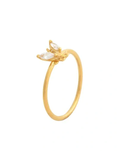 P D Paola Rings In Gold