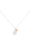 Wouters & Hendrix Voyages Naturalistes Necklace In Silver