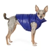 MONCLER GENIUS BLUE POLDO DOG COUTURE EDITION MONDOG JACKET