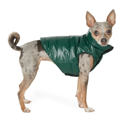 Moncler Genius Reversible Green Poldo Dog Couture Edition Mondog Jacket In Dark Olive