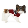 DSQUARED2 RED POLDO DOG COUTURE EDITION SMALL QUEBEC SWEATER