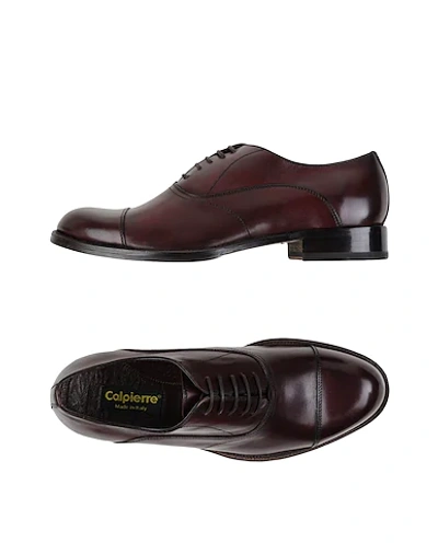 Calpierre Laced Shoes In Cocoa