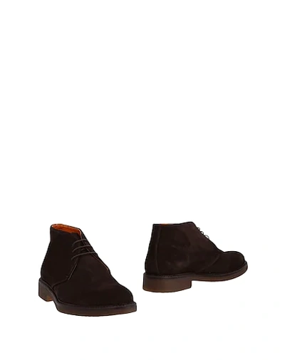 At.p.co Ankle Boots In Dark Brown