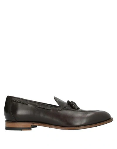 Ahora Napoli Loafers In Dark Brown