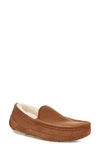 Ugg Ascot Slipper In Chestnut Corduroy