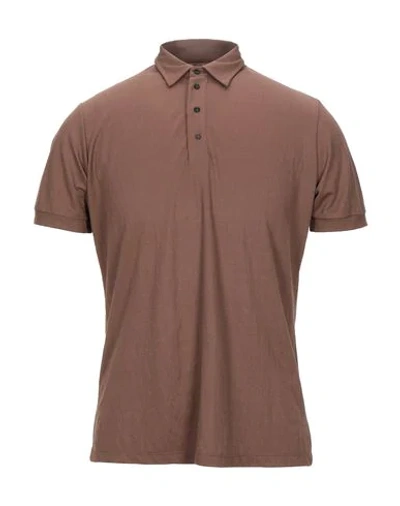 Beaucoup , Polo Shirts In Brown
