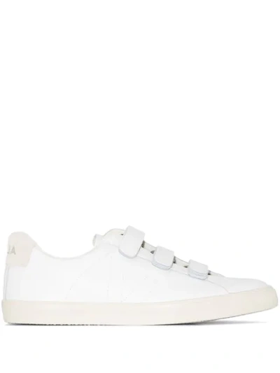 Veja 3-lock Logo Suede-trimmed Leather Trainers In White