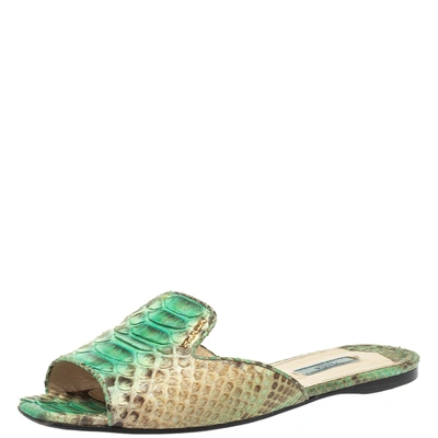 Pre-owned Prada Green/beige Python Flat Slides Size 40