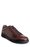 Allen Edmonds Porter Derby Sneaker In Dark Brown