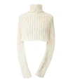 AISLING CAMPS Palm Cropped Sweater - Ivory