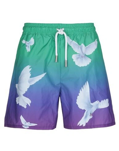 3paradis Bermudas In Green