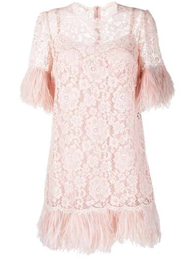 Dolce & Gabbana Floral Lace Mini Dress In Pink