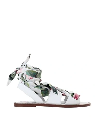 Dolce & Gabbana Sandals In White