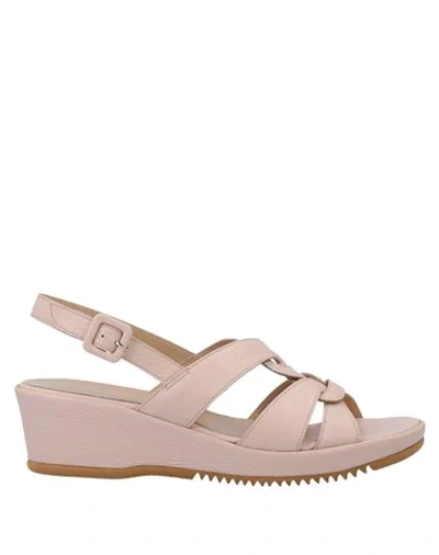 Mirabo' Sandals In Pale Pink